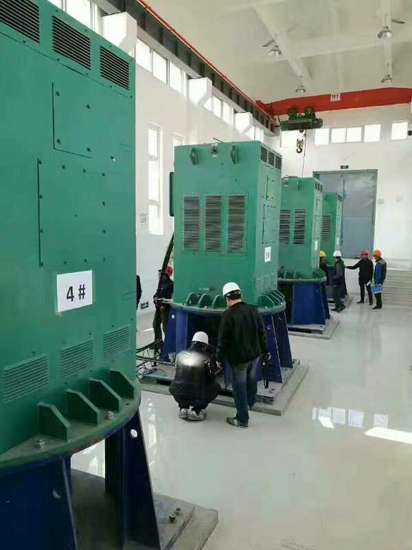 YKK5603-10某污水处理厂使用我厂的立式高压电机安装现场